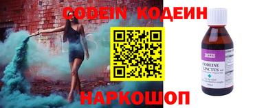 СК Новозыбков
