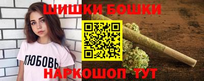 СК Новозыбков