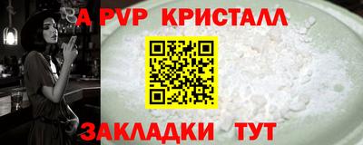 СК Новозыбков